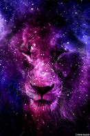 Image result for Lion Reference Photo