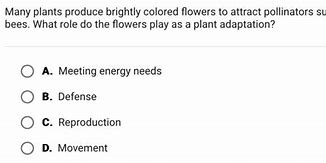 Image result for The Flowers Are Not Brightly Colored