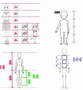 Image result for Anime Drawing Proportions