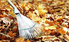 Image result for Raking Leaves 100 Years Ago