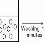 Image result for Dehydration vs Hydrolysis