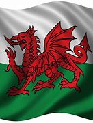 Image result for Dragon Empire Flag