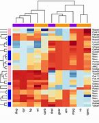 Image result for Punting Analysis Heat Map