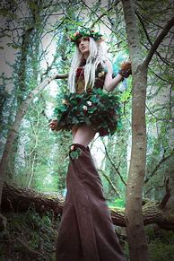 Image result for Enchanted Forest Fairy Costumes