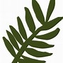 Image result for Palm Sunday Leaf