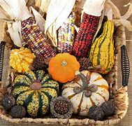 Image result for Fall Harvest Coloring Pages Printable