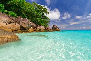 Image result for Tropical Island Ocean