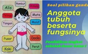 Image result for Mewarnai Anggota Tubuh