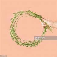 Image result for Hand Holding Branches