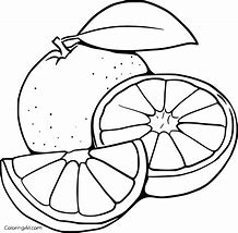 Image result for Orange Coloring Pic