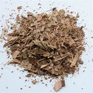 Image result for Hazel Tree Bark