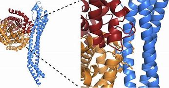 Image result for Linear Regression Model for Haemoglobin