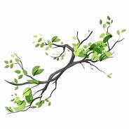 Image result for Curved Leaf Branch Silhouette