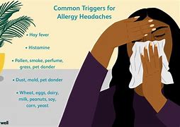 Image result for Allergy Headache