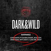 Image result for BTS Dark and Wild Album Cover