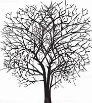 Image result for How to Print Tree Shape