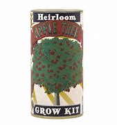 Image result for Apple Tree From Seed