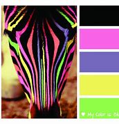 Image result for High Contrast Color Combinations