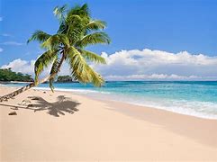 Image result for Tropical Island Ocean