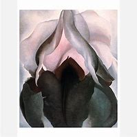 Image result for Georgia O'Keeffe Black Iris Paintings