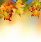 Image result for Autumn Leaves Pictures Free