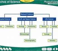 Image result for 15 Branches of Science