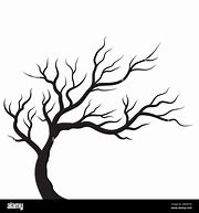 Image result for Vector Tree Branch Coloring