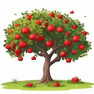 Image result for Apple Tree with Majors Vector