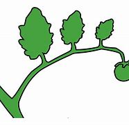 Image result for Thick Tree Branch PNG