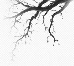 Image result for Halloween Tree Branch