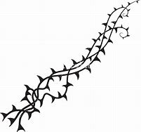 Image result for Thorns On Vines Drawing