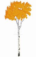 Image result for Cartoon Pine Tree Vector