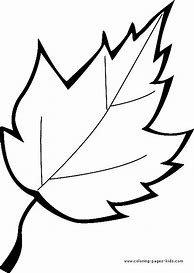 Image result for Leaves Color Print Out