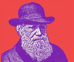 Image result for Charles Darwin T-Shirt