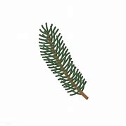 Image result for Pine Tree Leaves Vector