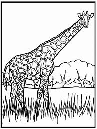 Image result for Free Giraffe Coloring Pages