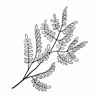 Image result for Vector Tree Branch Coloring