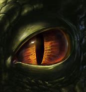 Image result for Minimalist Dragon Eye