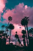 Image result for Palm Tree Spears