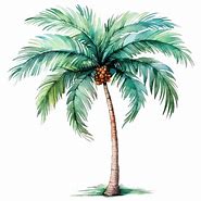 Image result for Palm Tree Vector Architects