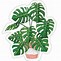 Image result for Funny Plant Stickers