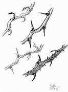 Image result for Thorns On Vines Drawing