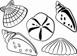 Image result for Beach Shells Coloring Pages