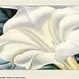 Image result for Georgia O'Keeffe Wallpaper