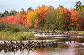 Image result for Best Fall Foliage