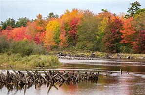 Image result for Michigan Best Fall Foliage