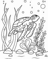 Image result for Educational Sea Turtle Coloring Page