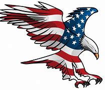 Image result for Bald Eagle American Flag Logo