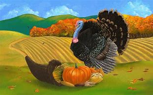 Image result for Turkey Autumn