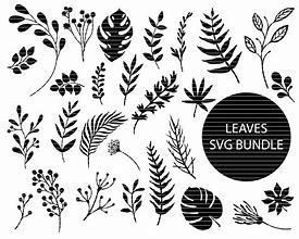 Image result for Decorative Leaf SVG